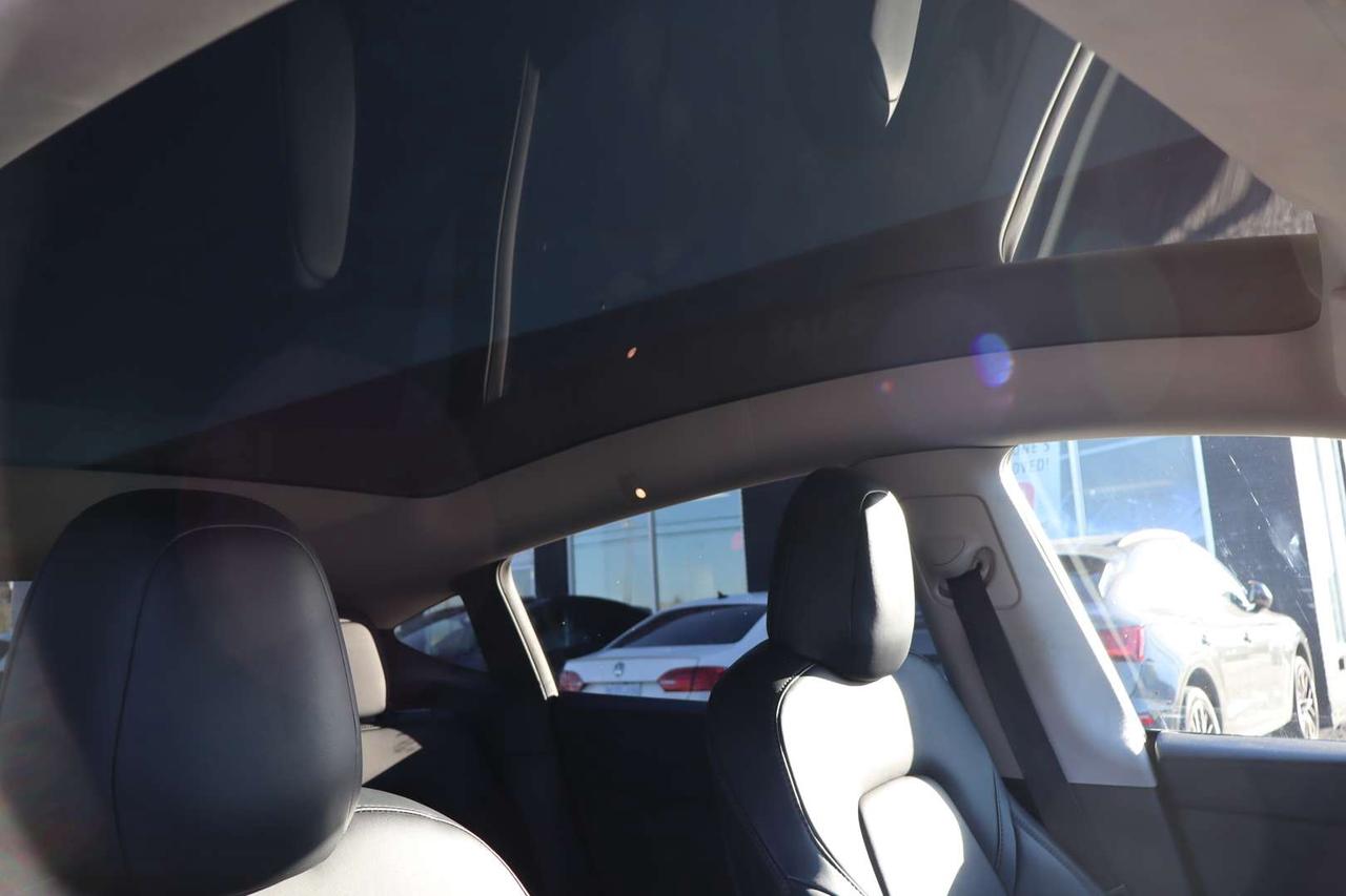 2022 Tesla Model Y Long Range   Dual Motor Photo
