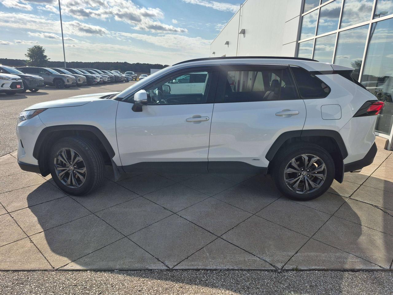 2023 Toyota RAV4 Hybrid XLE Photo