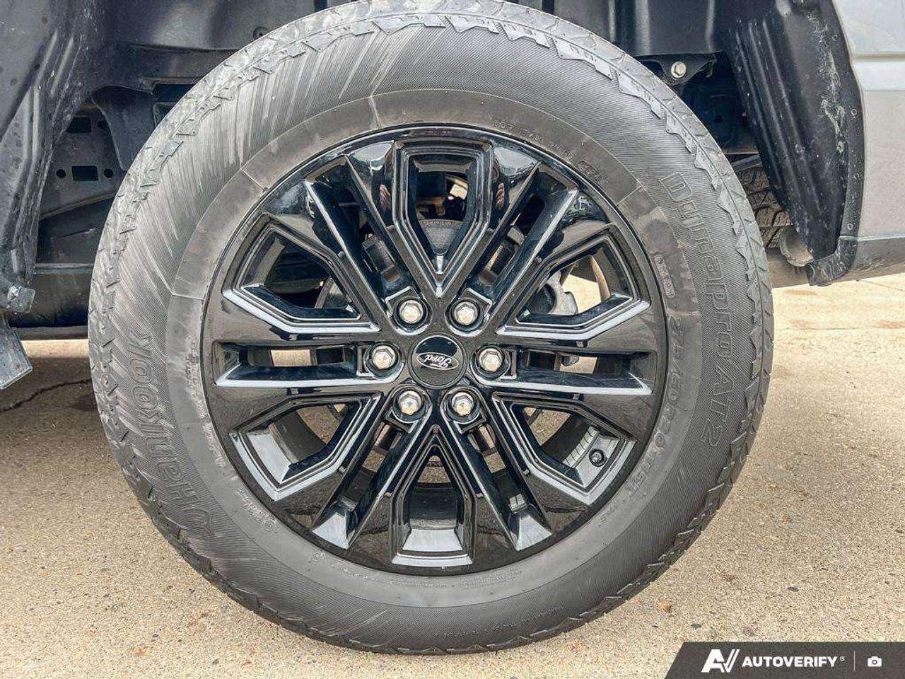 2024 Ford F-150 XLT   XLT BLK APP PKG PLUS   360 CAMERA Photo