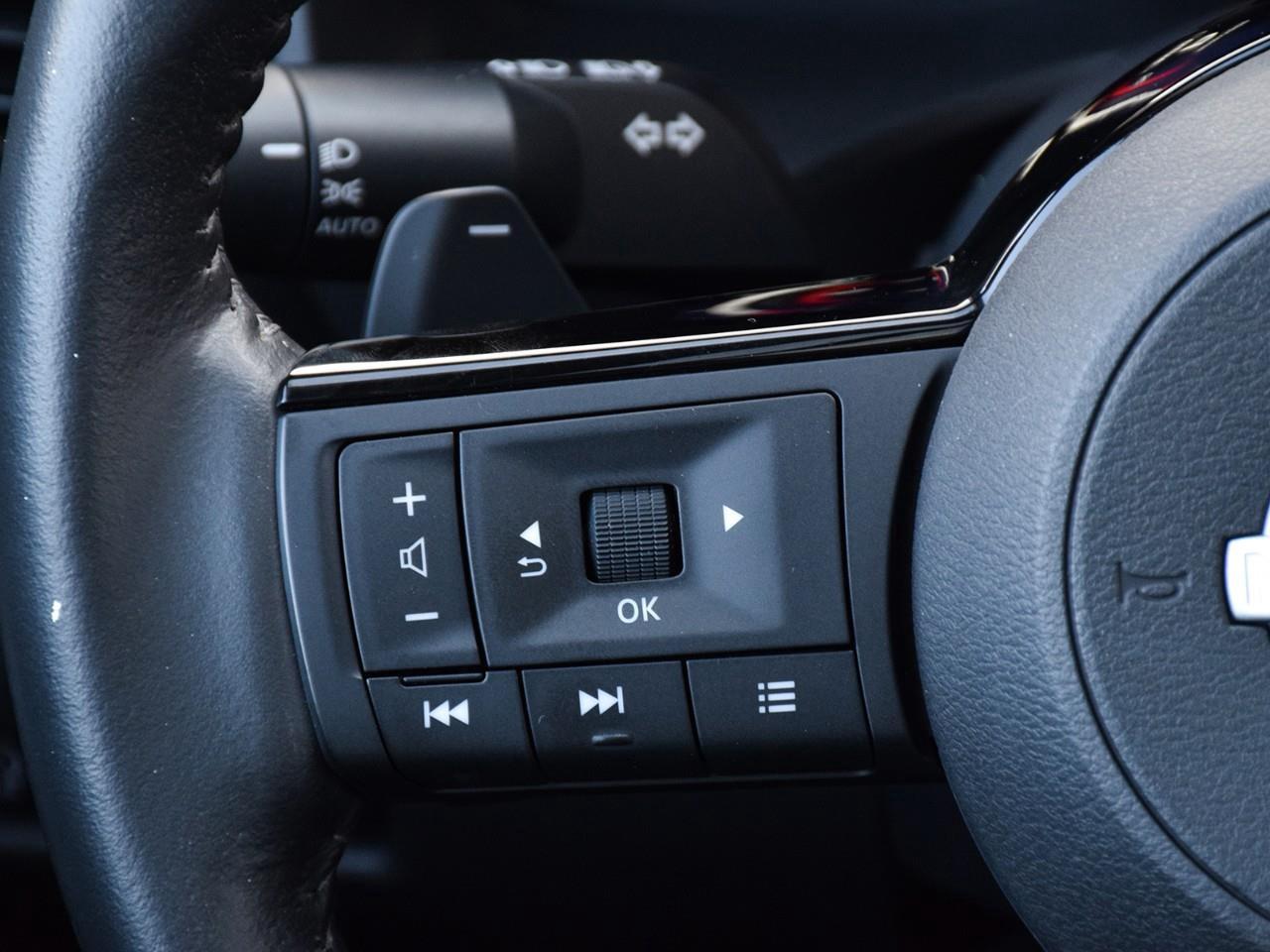2024 Nissan Rogue Platinum 4dr All-Wheel Drive Sport Utility Photo