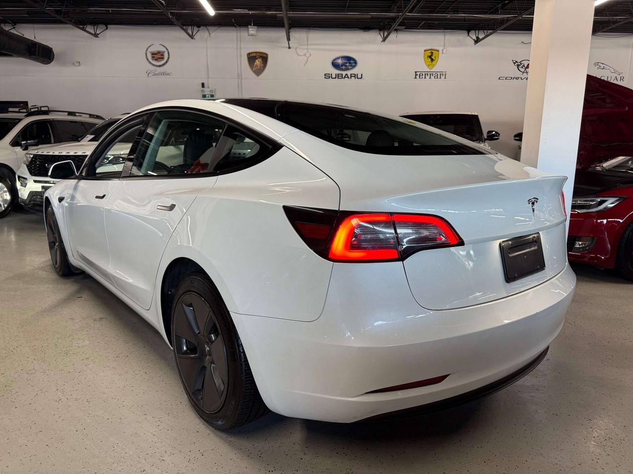 2023 Tesla Model 3 No Accidents l Tesla Warranty l RWD l Standard Rng Photo