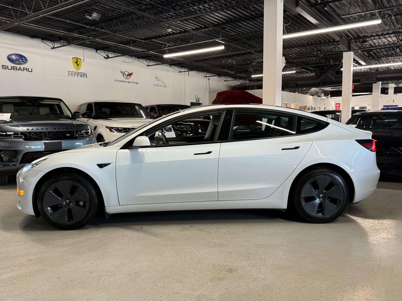 2023 Tesla Model 3 No Accidents l Tesla Warranty l RWD l Standard Rng Photo