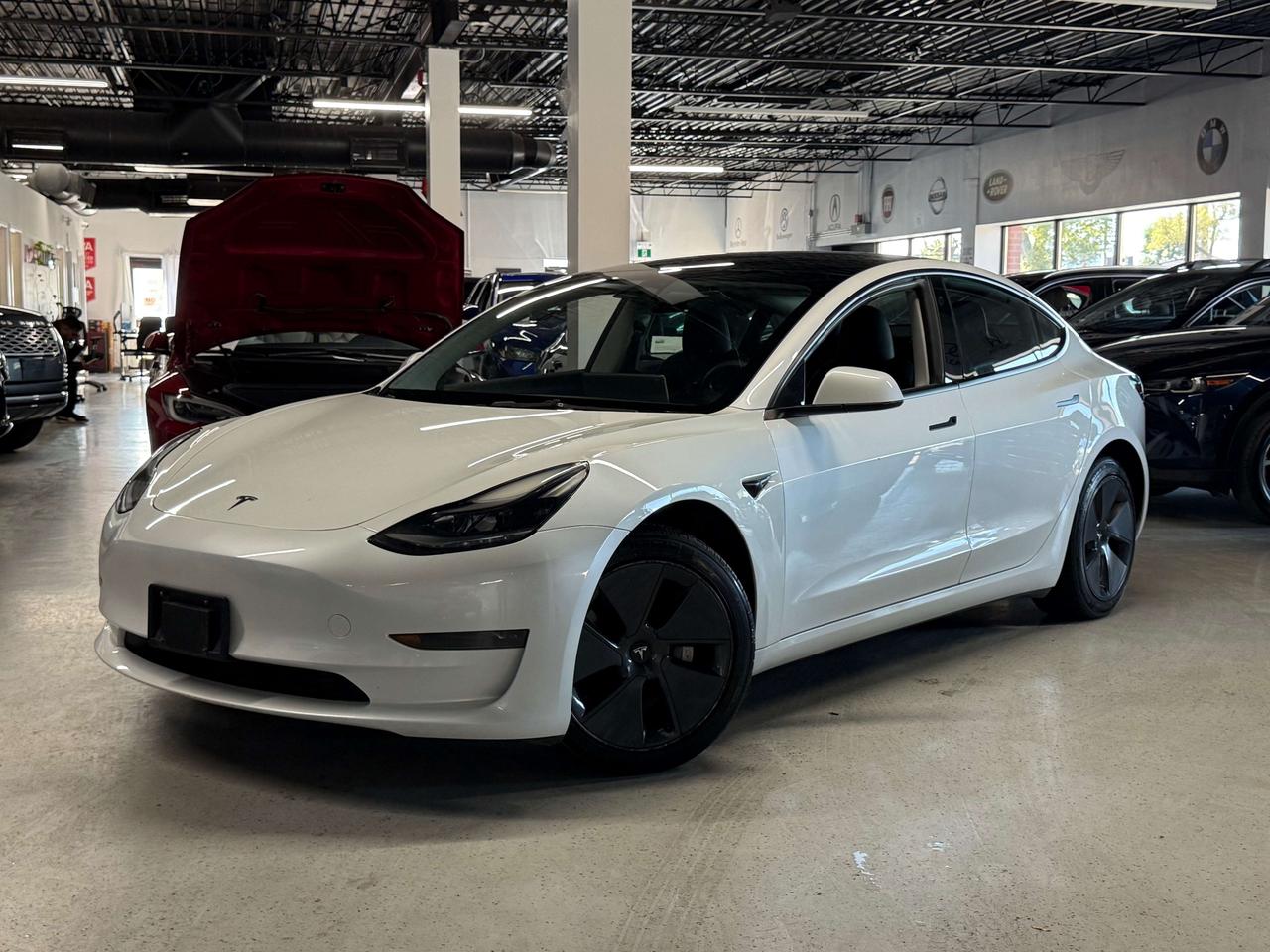 2023 Tesla Model 3 No Accidents l Tesla Warranty l RWD l Standard Rng Photo0