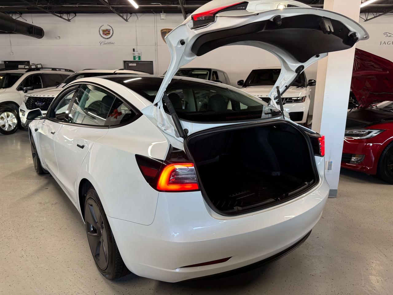 2023 Tesla Model 3 No Accidents l Tesla Warranty l RWD l Standard Rng Photo