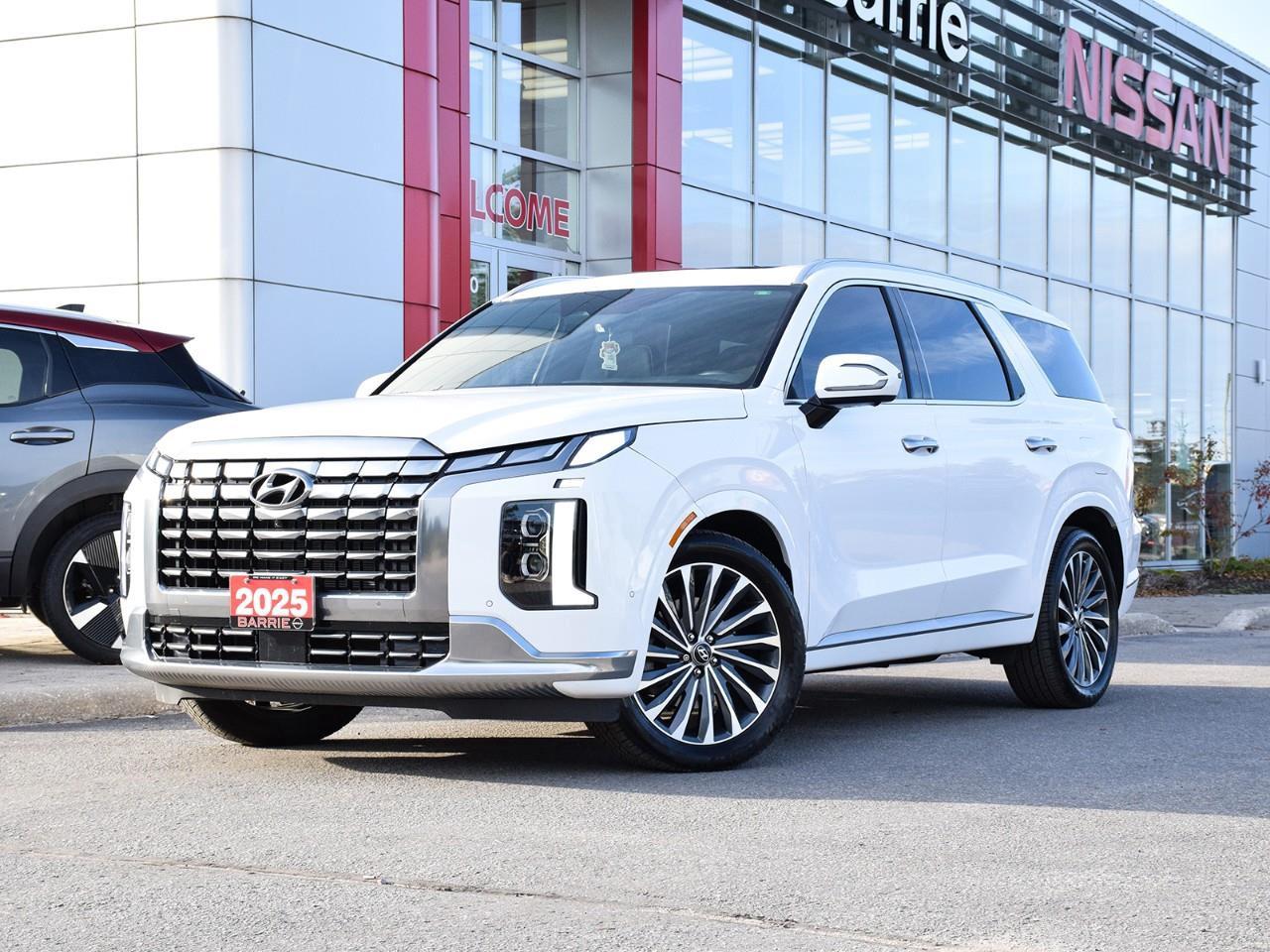 2025 Hyundai PALISADE Ultimate Calligraphy 4dr All-Wheel Drive Photo