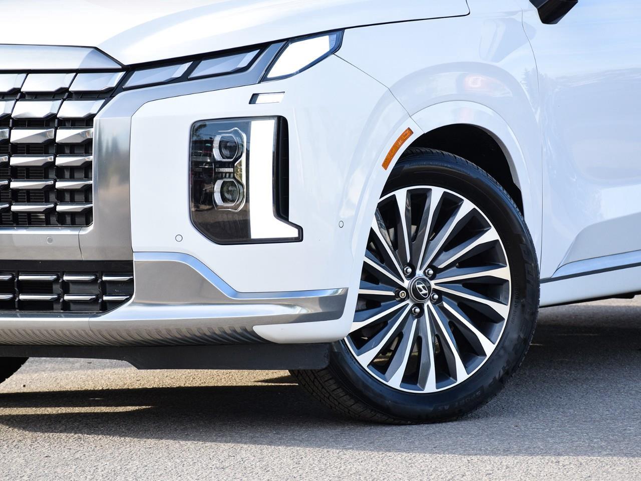 2025 Hyundai PALISADE Ultimate Calligraphy 4dr All-Wheel Drive Photo