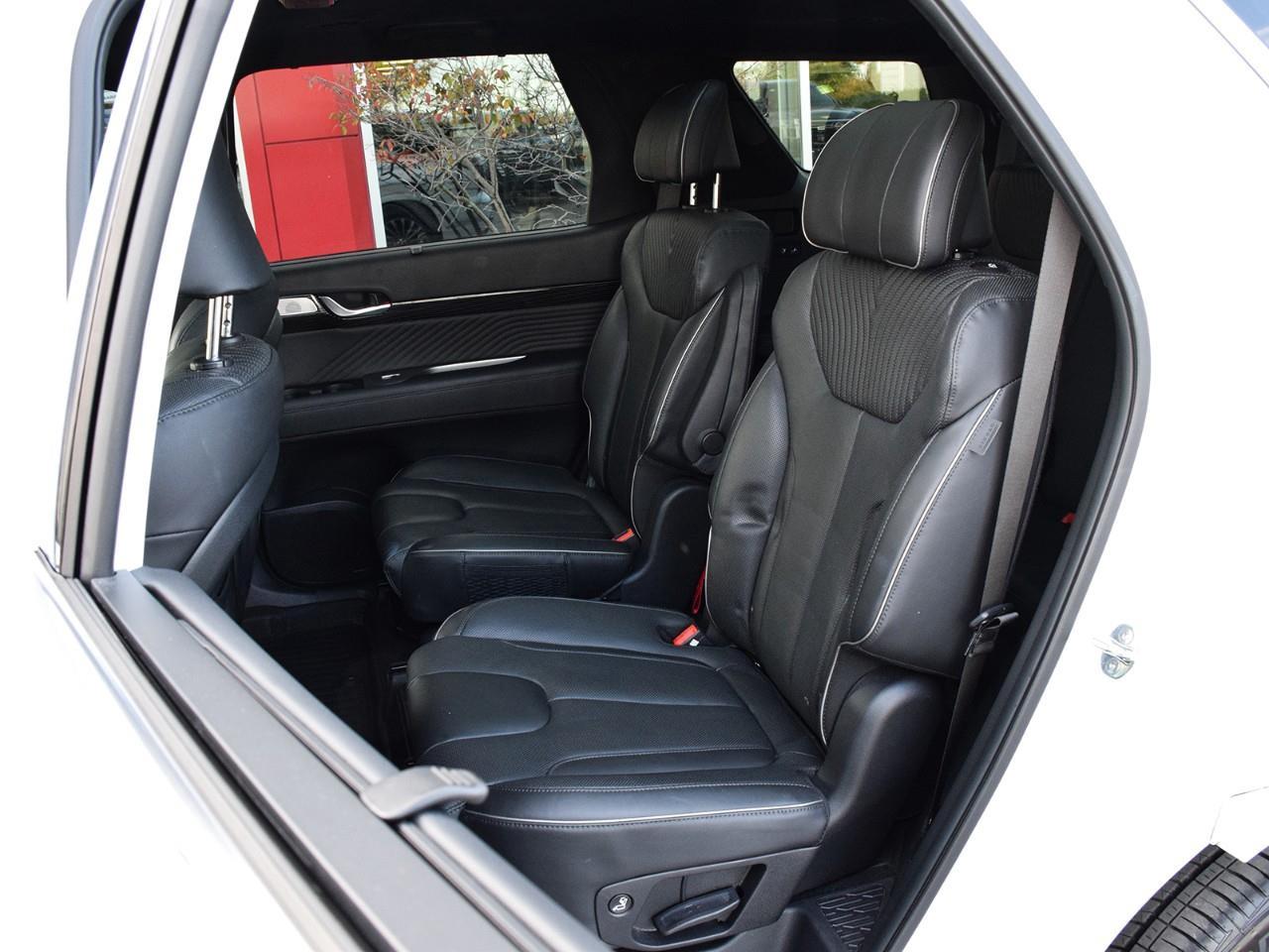 2025 Hyundai PALISADE Ultimate Calligraphy 4dr All-Wheel Drive Photo