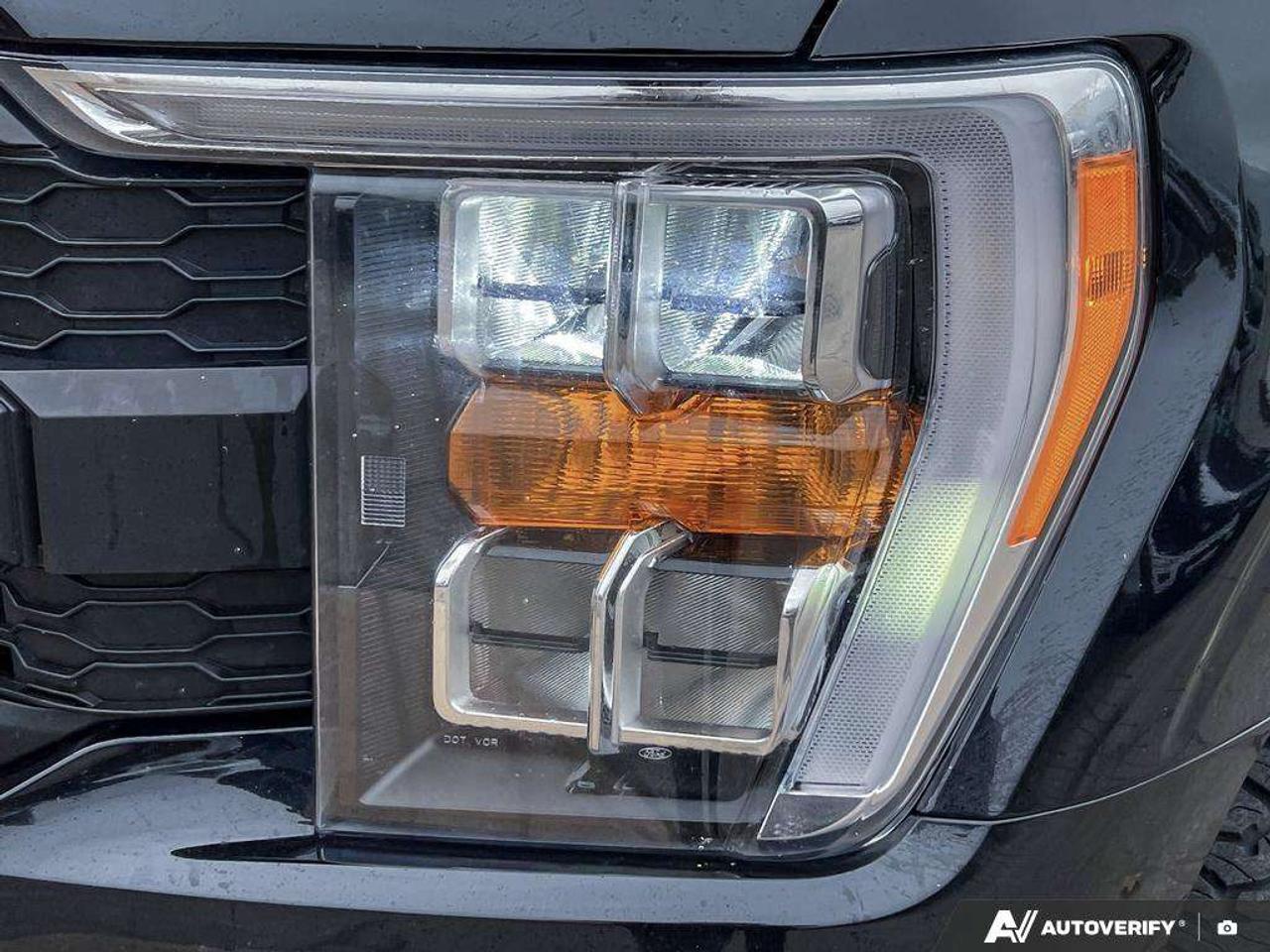 2023 Ford F-150 XLT   XLT SPORT PKG   REAR CAMERA Photo
