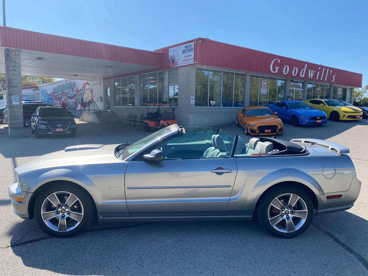 2008 Ford Mustang GT, LOW KMS, LEATHER! Photo