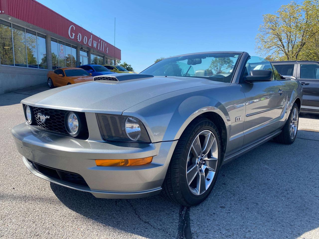 2008 Ford Mustang GT, LOW KMS, LEATHER! Photo