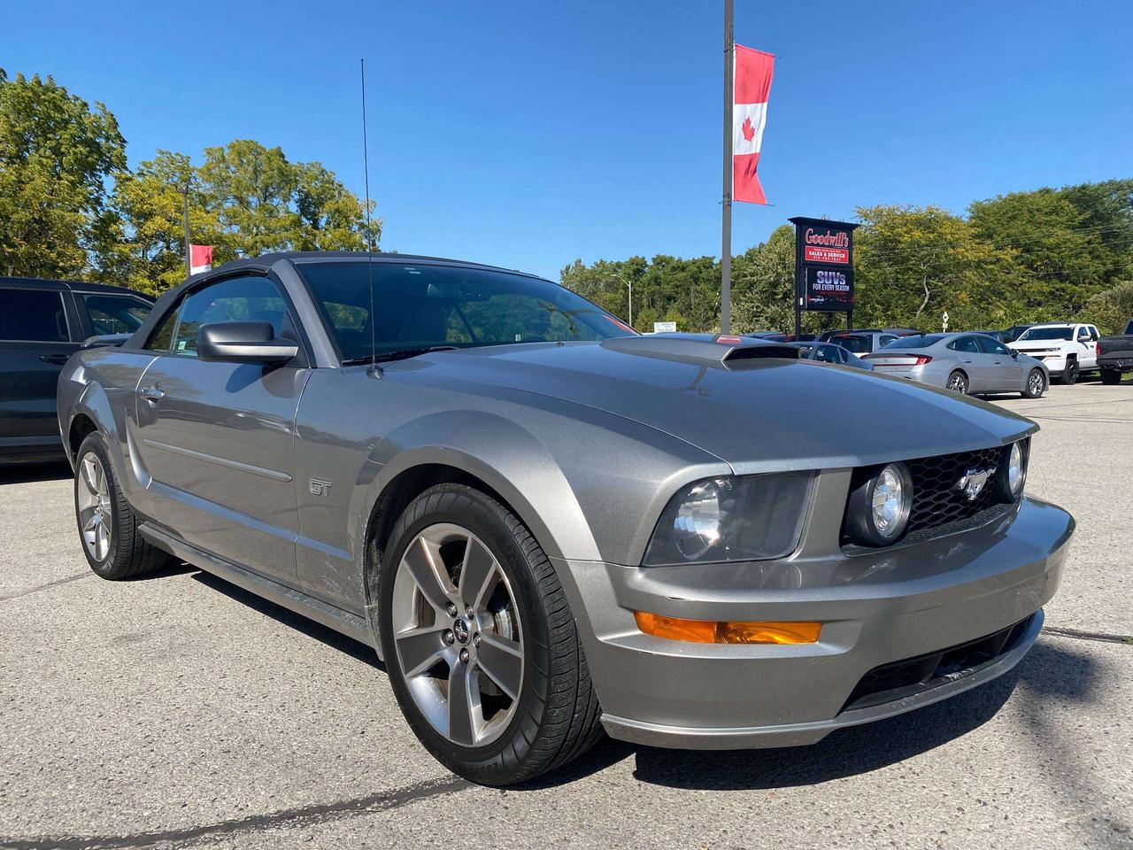 2008 Ford Mustang GT, LOW KMS, LEATHER! Photo