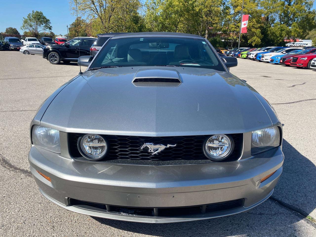 2008 Ford Mustang GT, LOW KMS, LEATHER! Photo