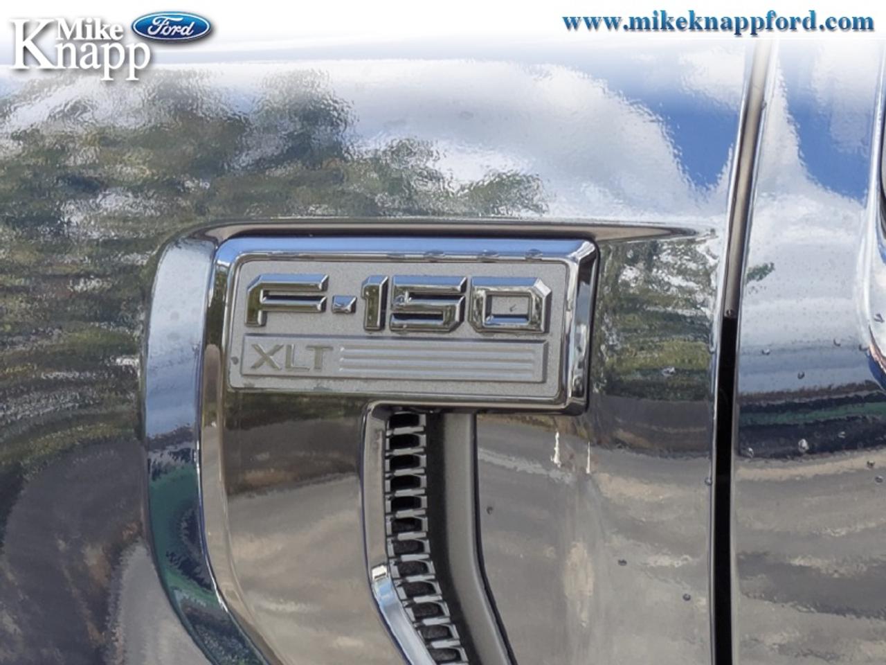 2026 Ford F-150 XLT Photo