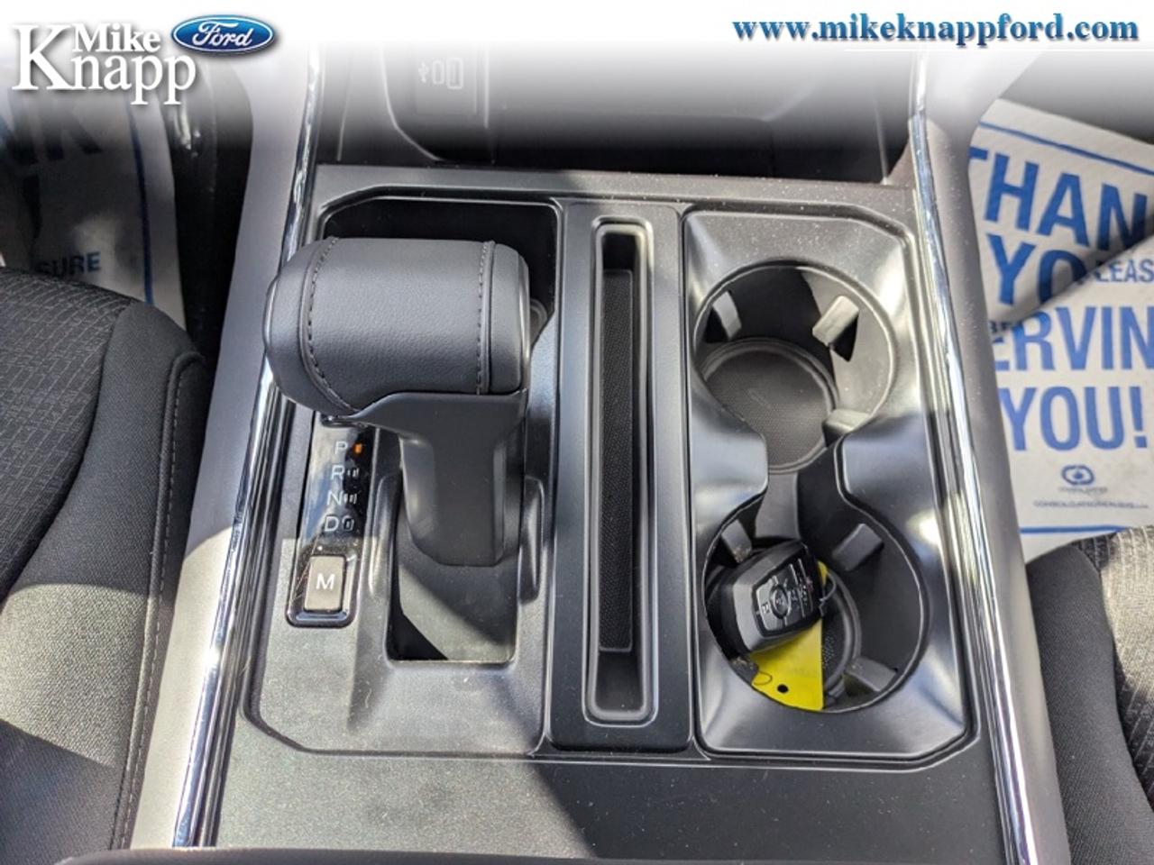2026 Ford F-150 XLT Photo