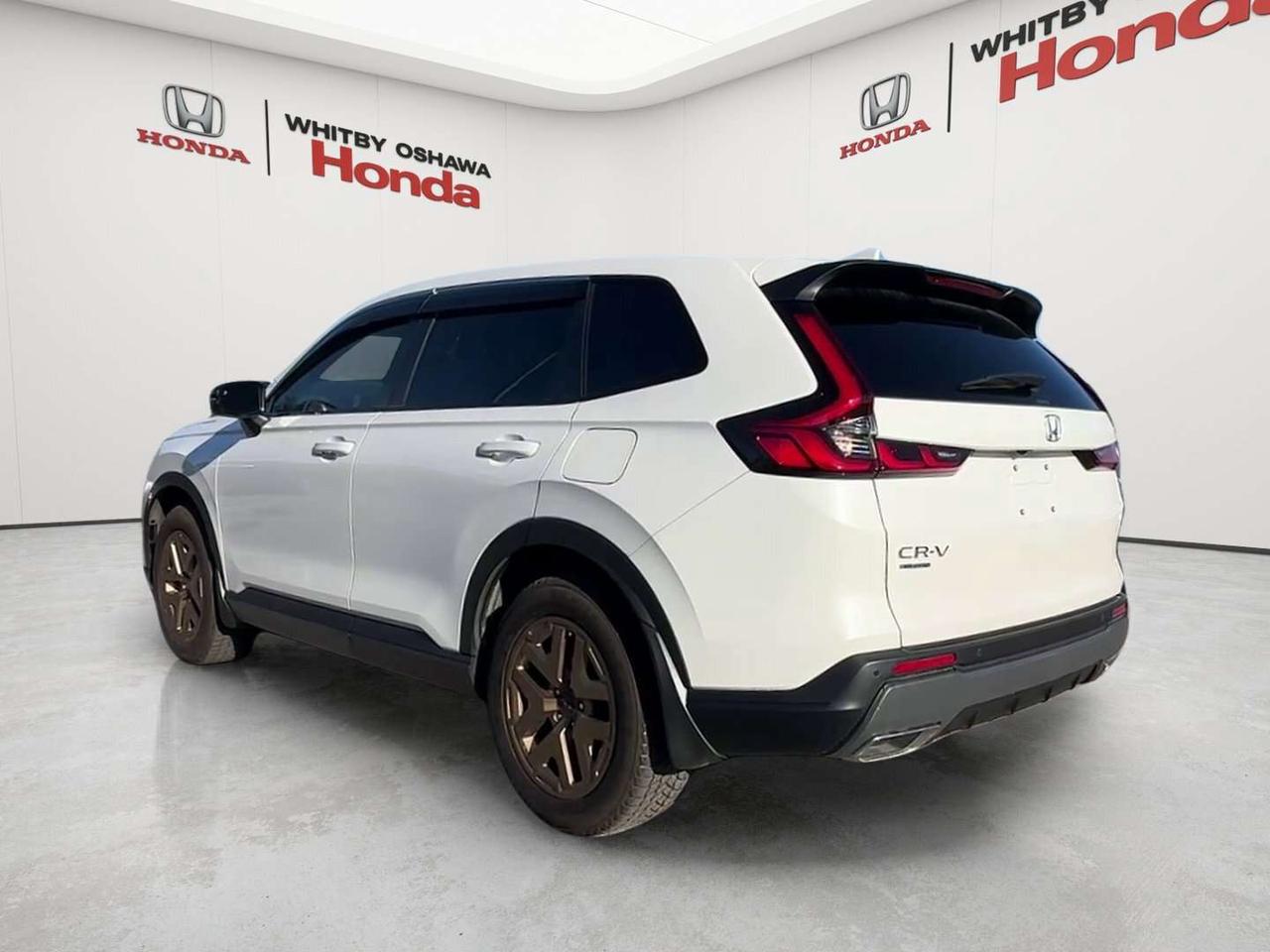 2026 Honda CR-V EX-L Photo