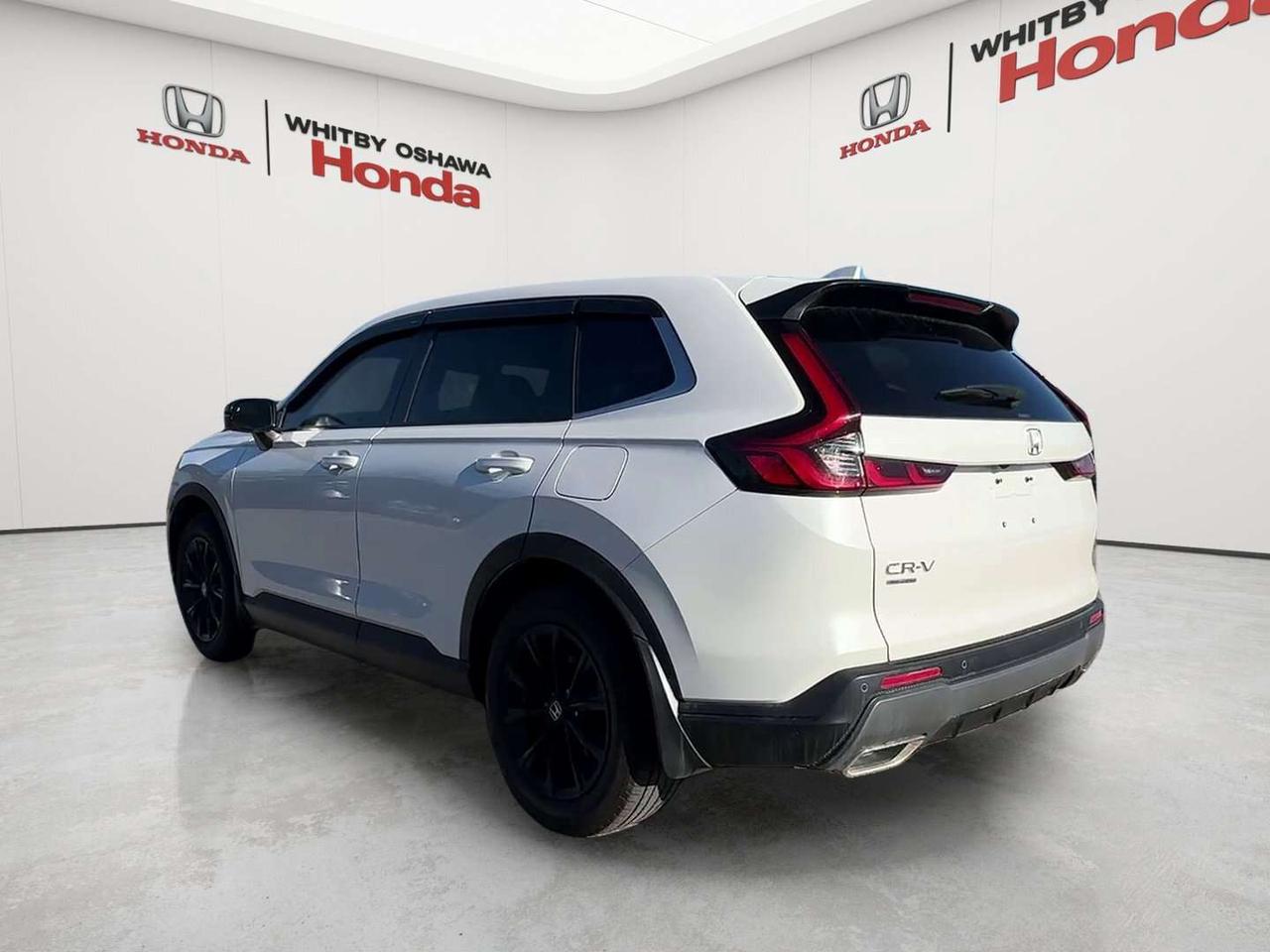 2025 Honda CR-V EX-L Photo