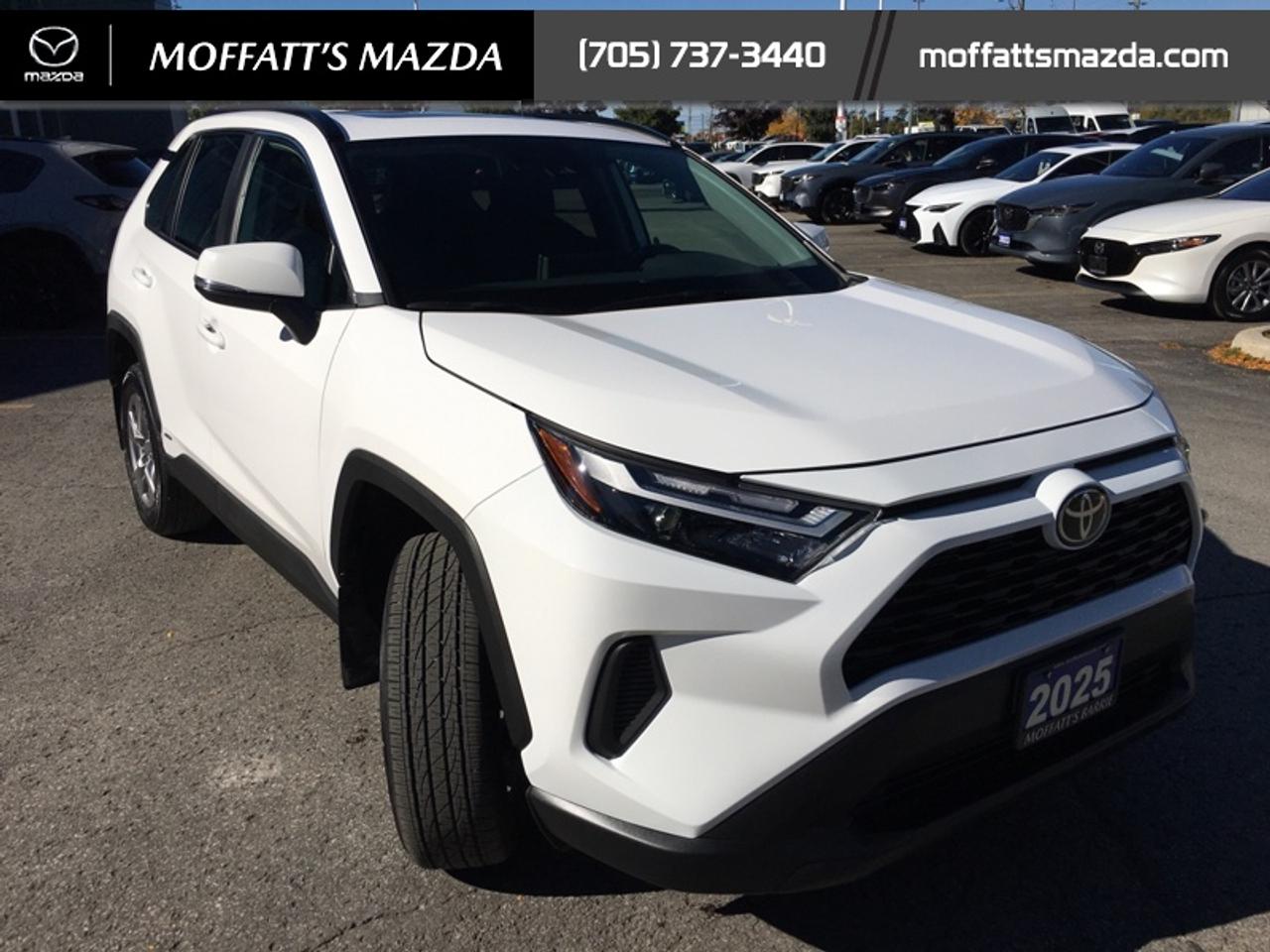 2025 Toyota RAV4 Hybrid XLE Photo