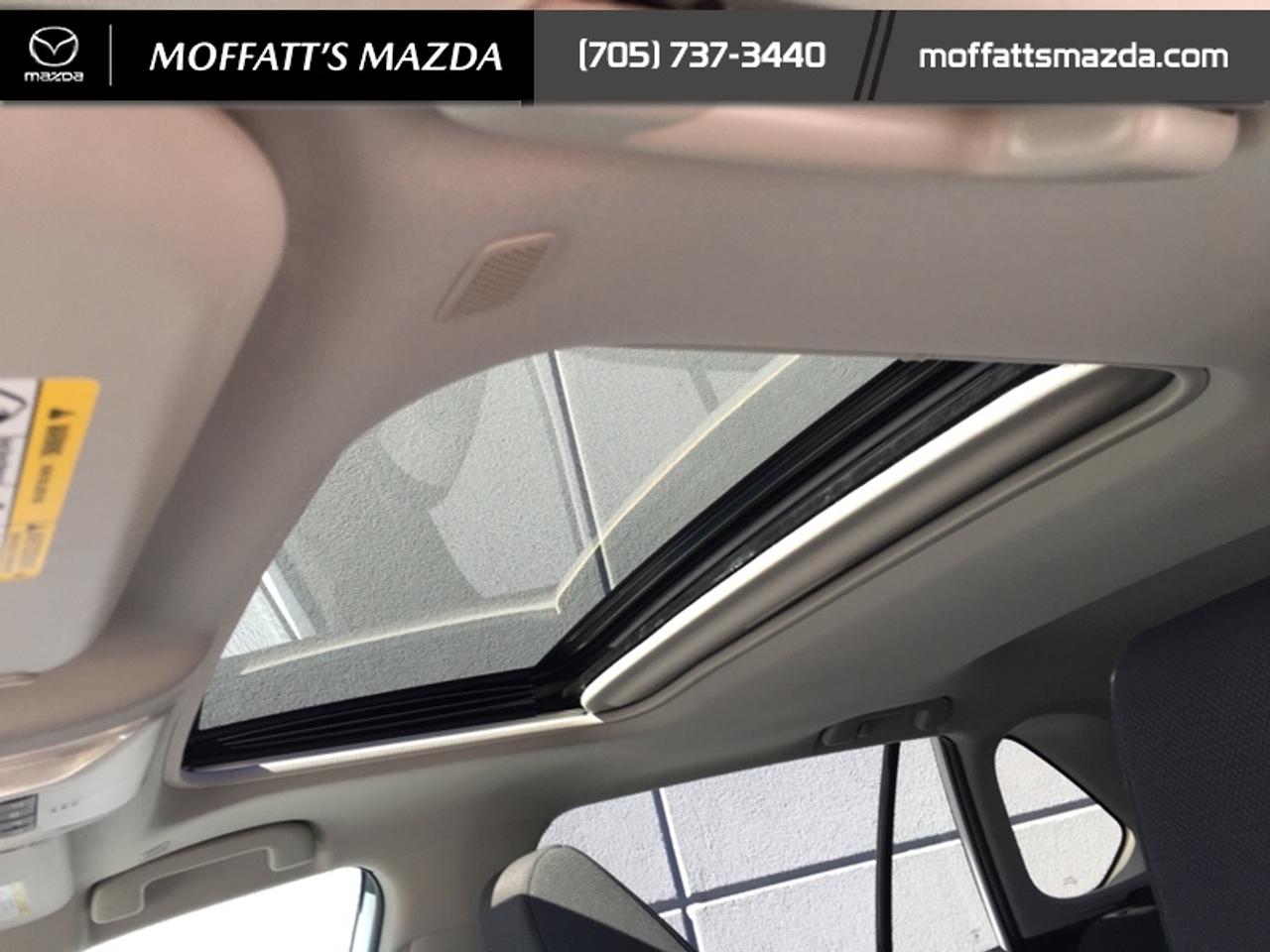 2025 Toyota RAV4 Hybrid XLE Photo