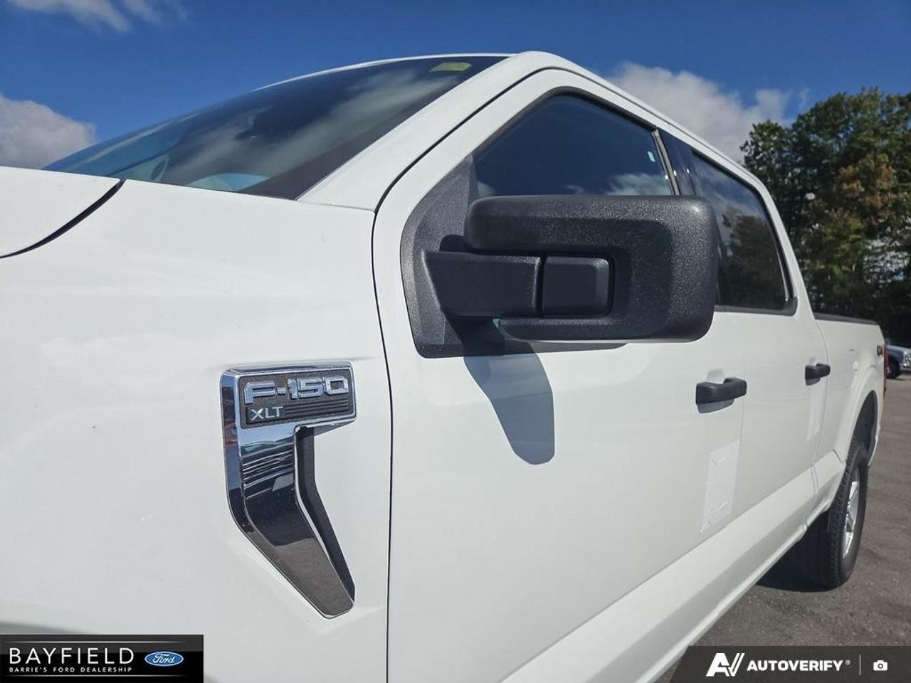 2026 Ford F-150 XLT Photo