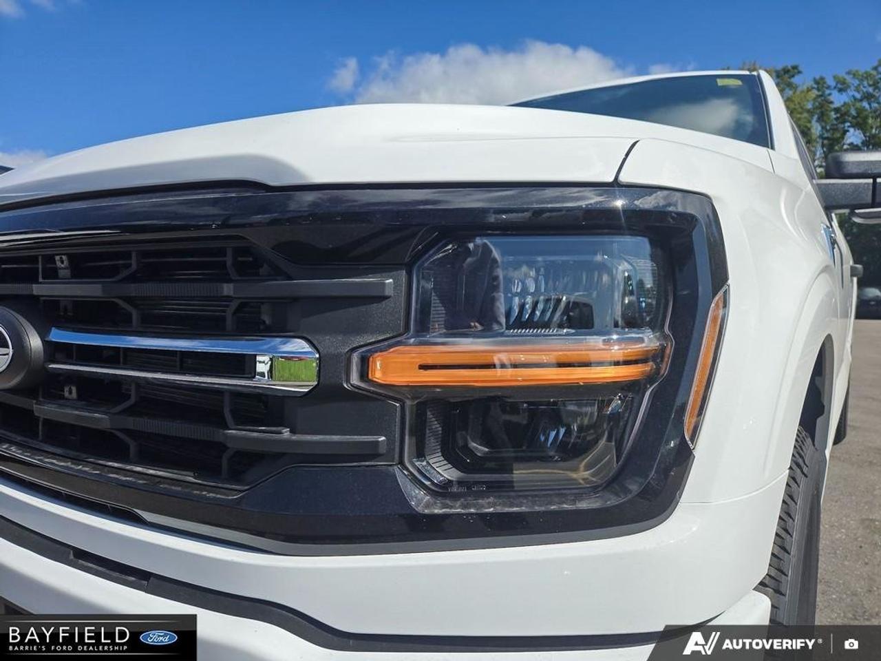 2026 Ford F-150 XLT Photo