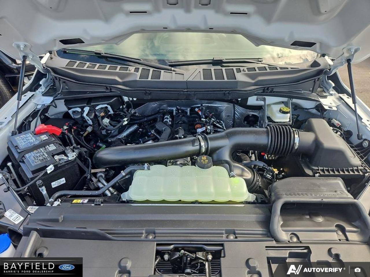 2026 Ford F-150 XLT Photo