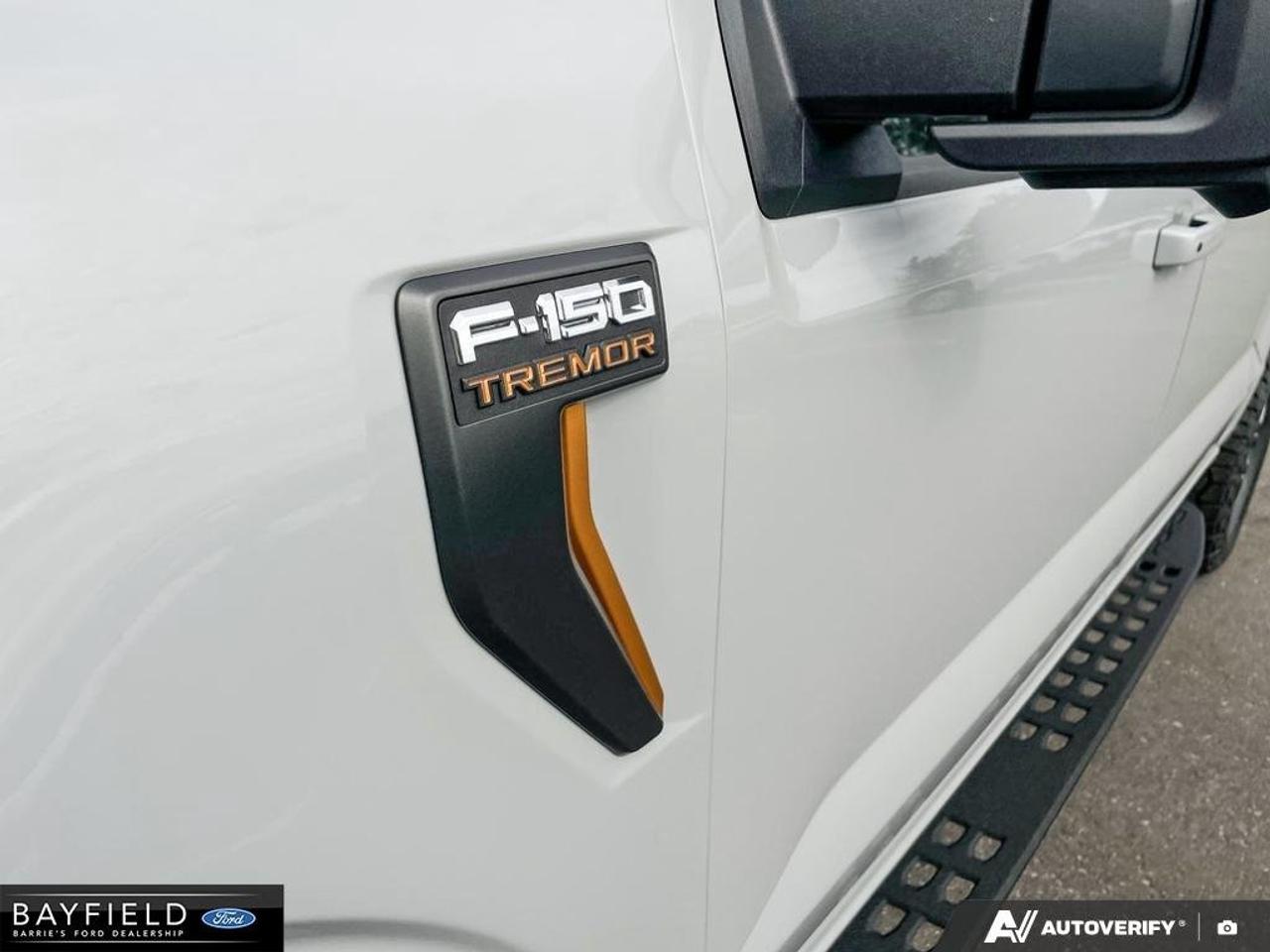 2026 Ford F-150 Tremor Photo