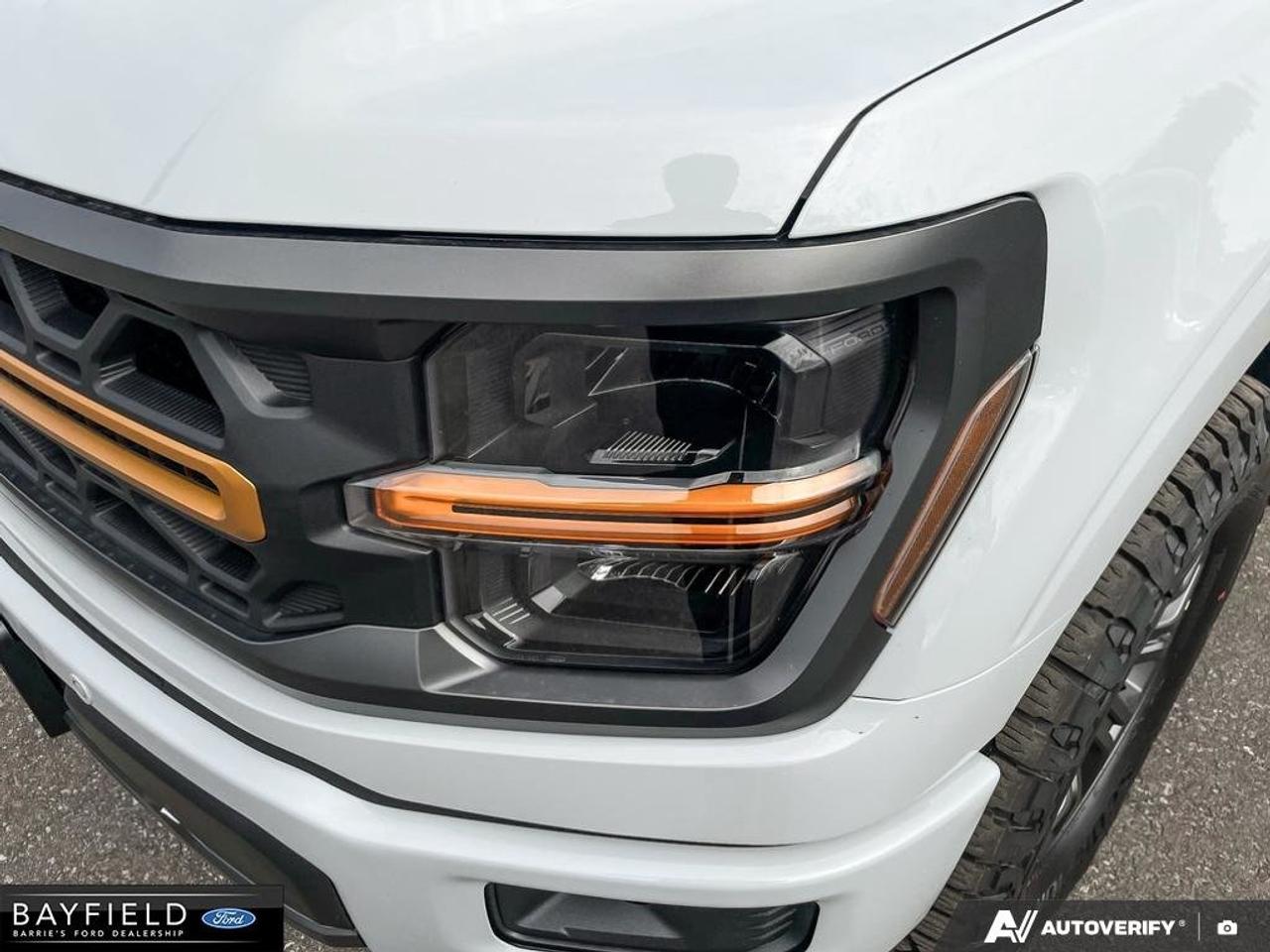 2026 Ford F-150 Tremor Photo