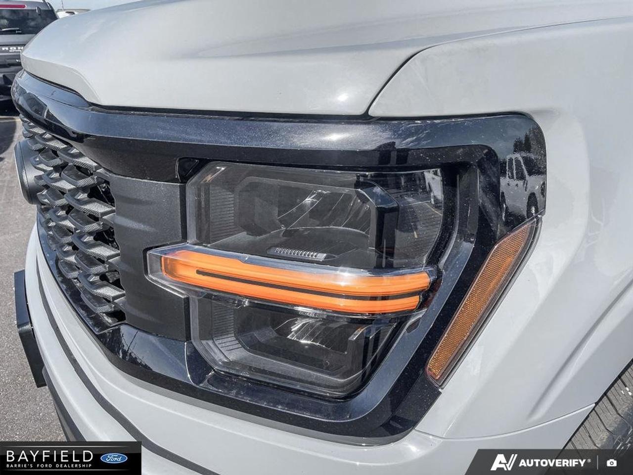 2026 Ford F-150 STX Photo