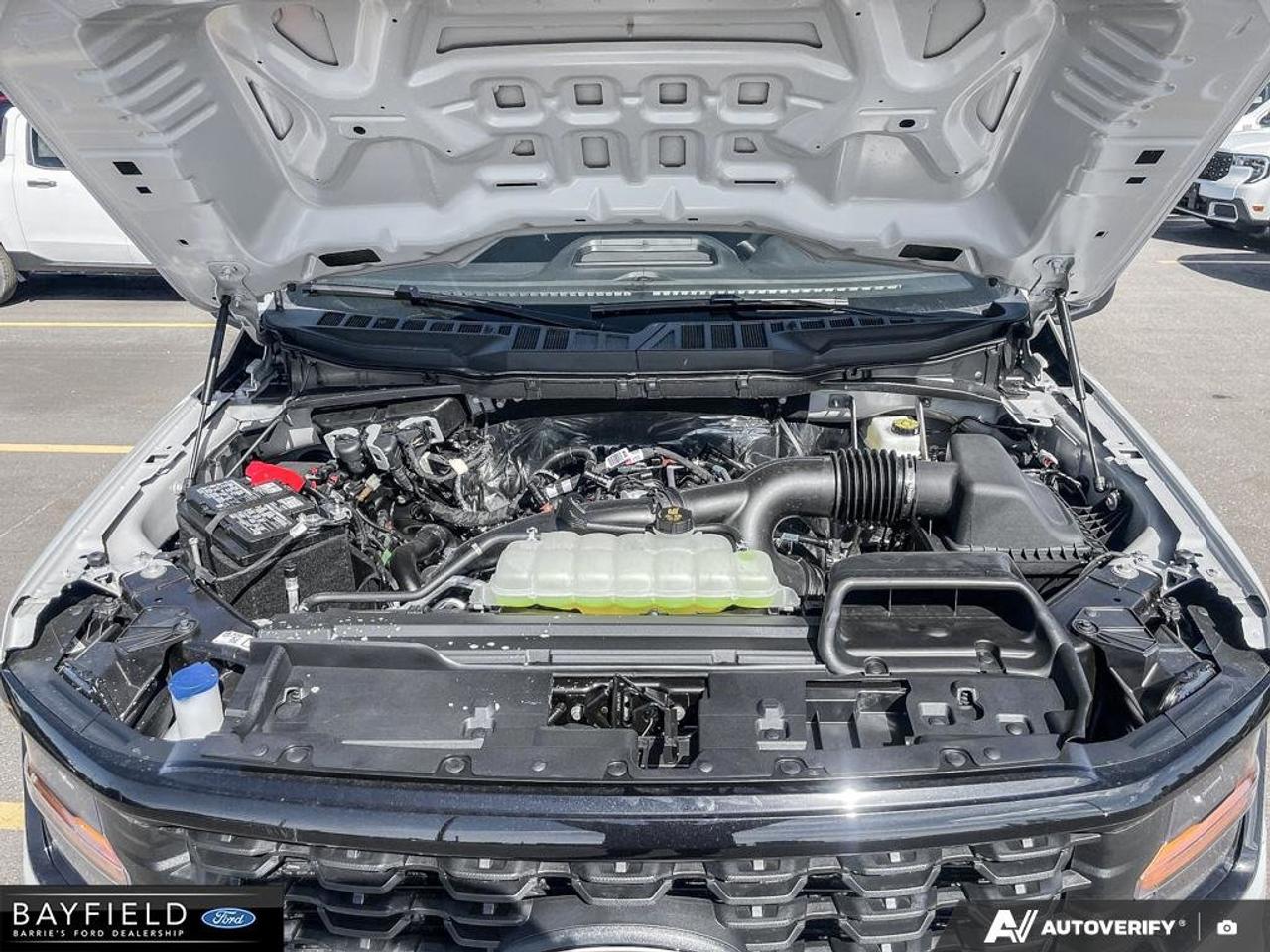 2026 Ford F-150 STX Photo