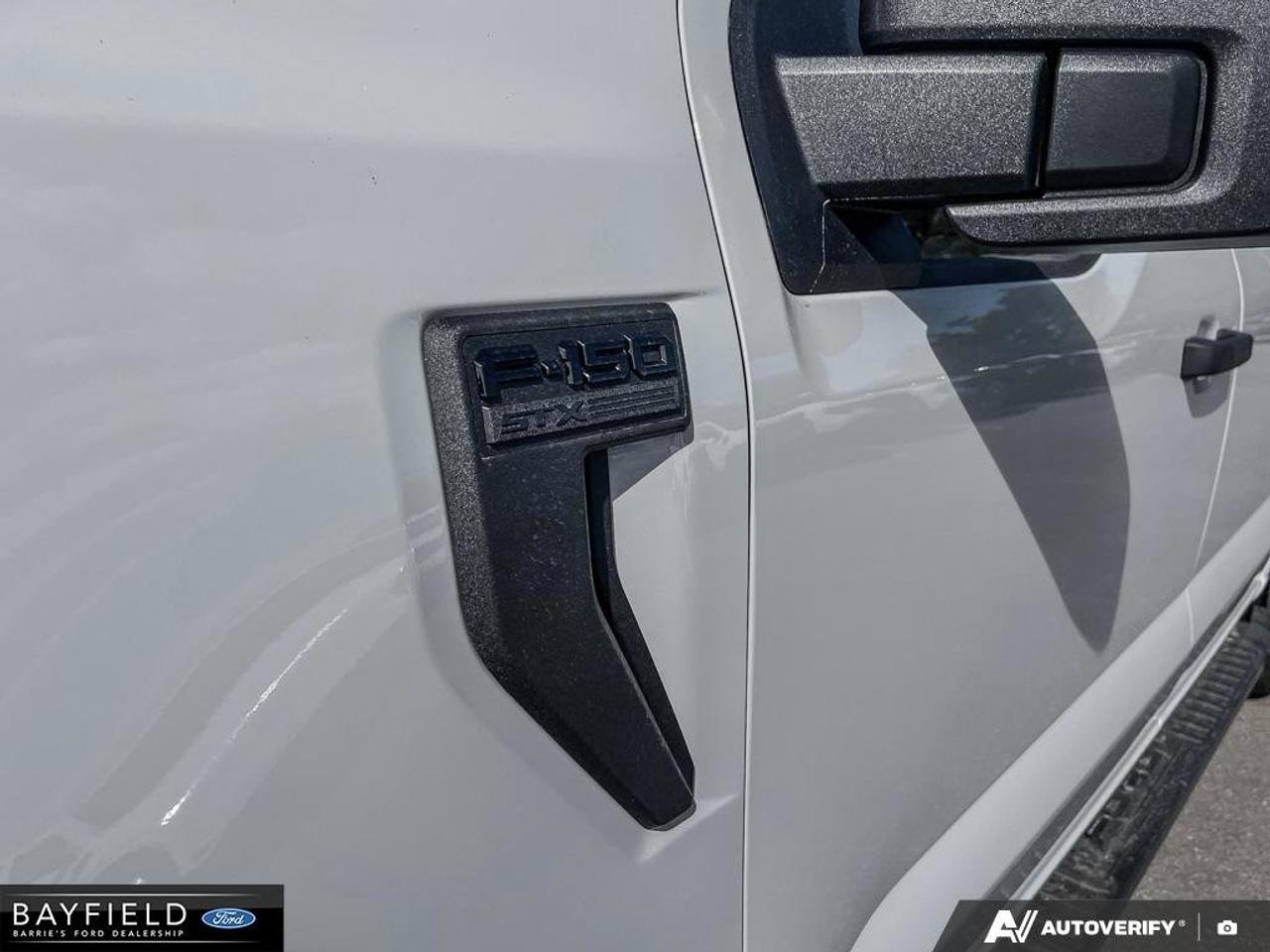2026 Ford F-150 STX Photo