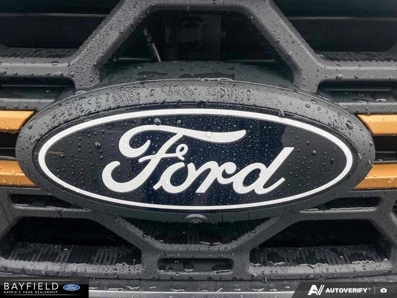 2026 Ford F-150 Tremor Photo