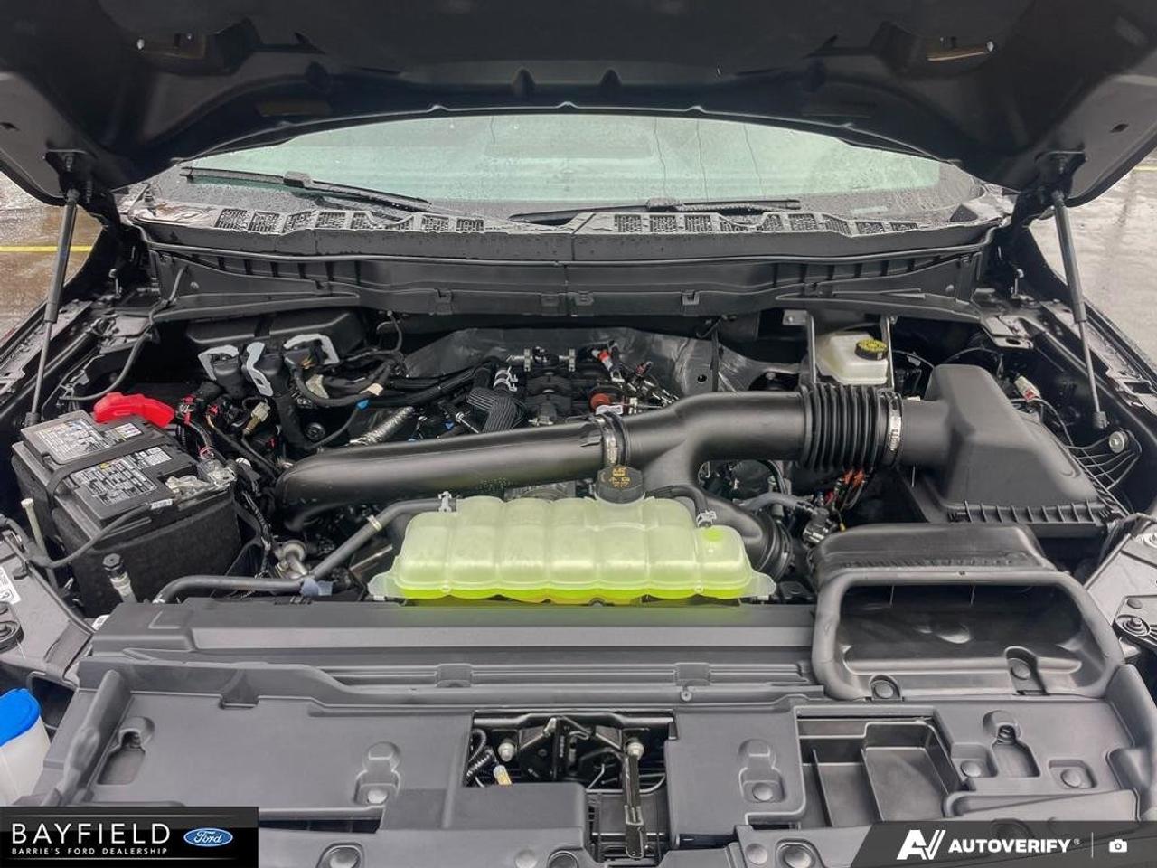 2026 Ford F-150 Tremor Photo