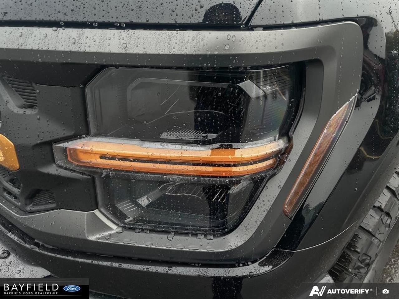 2026 Ford F-150 Tremor Photo
