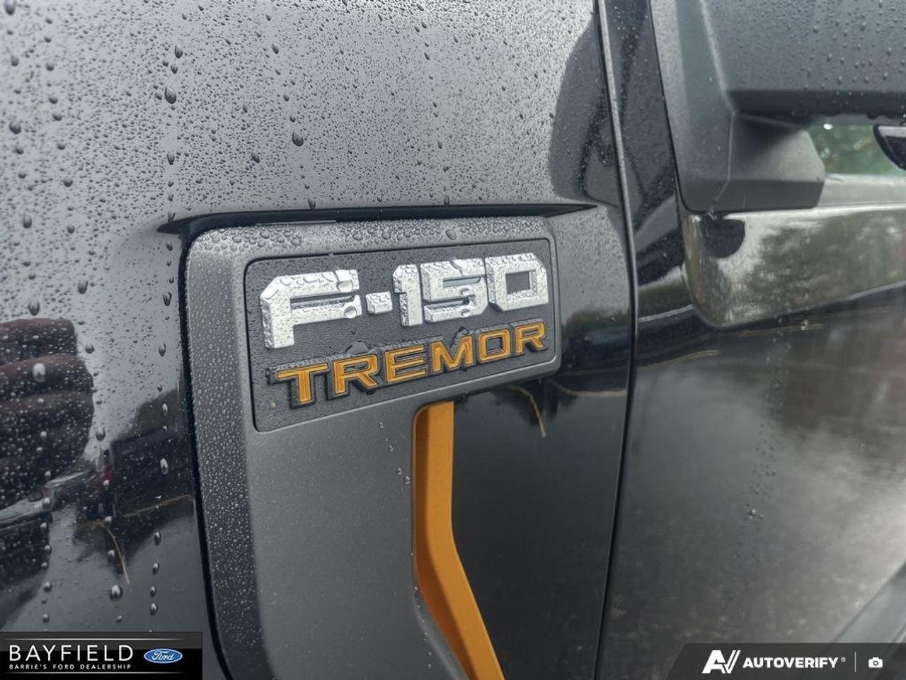 2026 Ford F-150 Tremor Photo