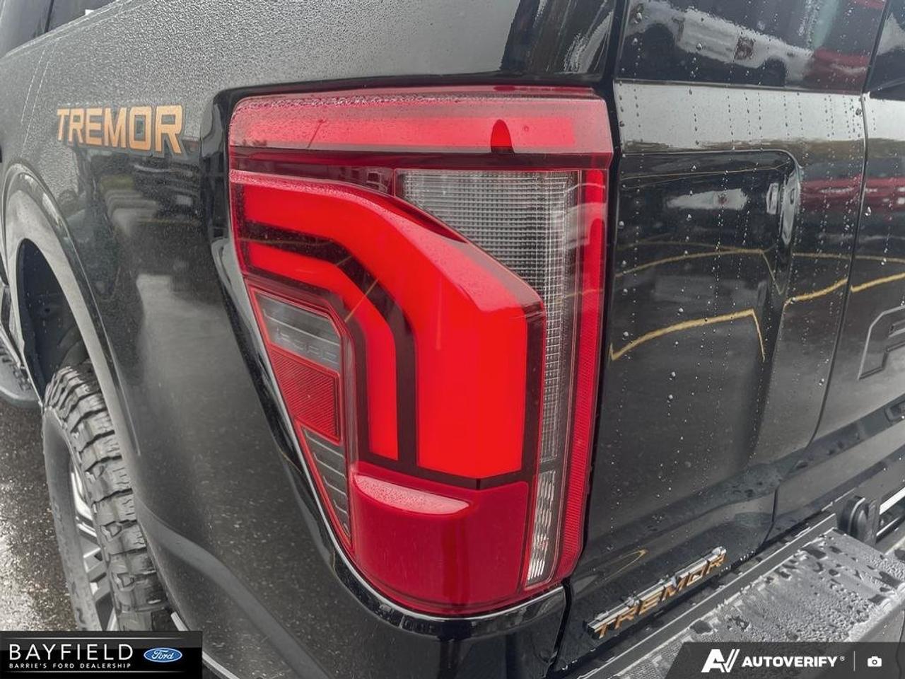2026 Ford F-150 Tremor Photo