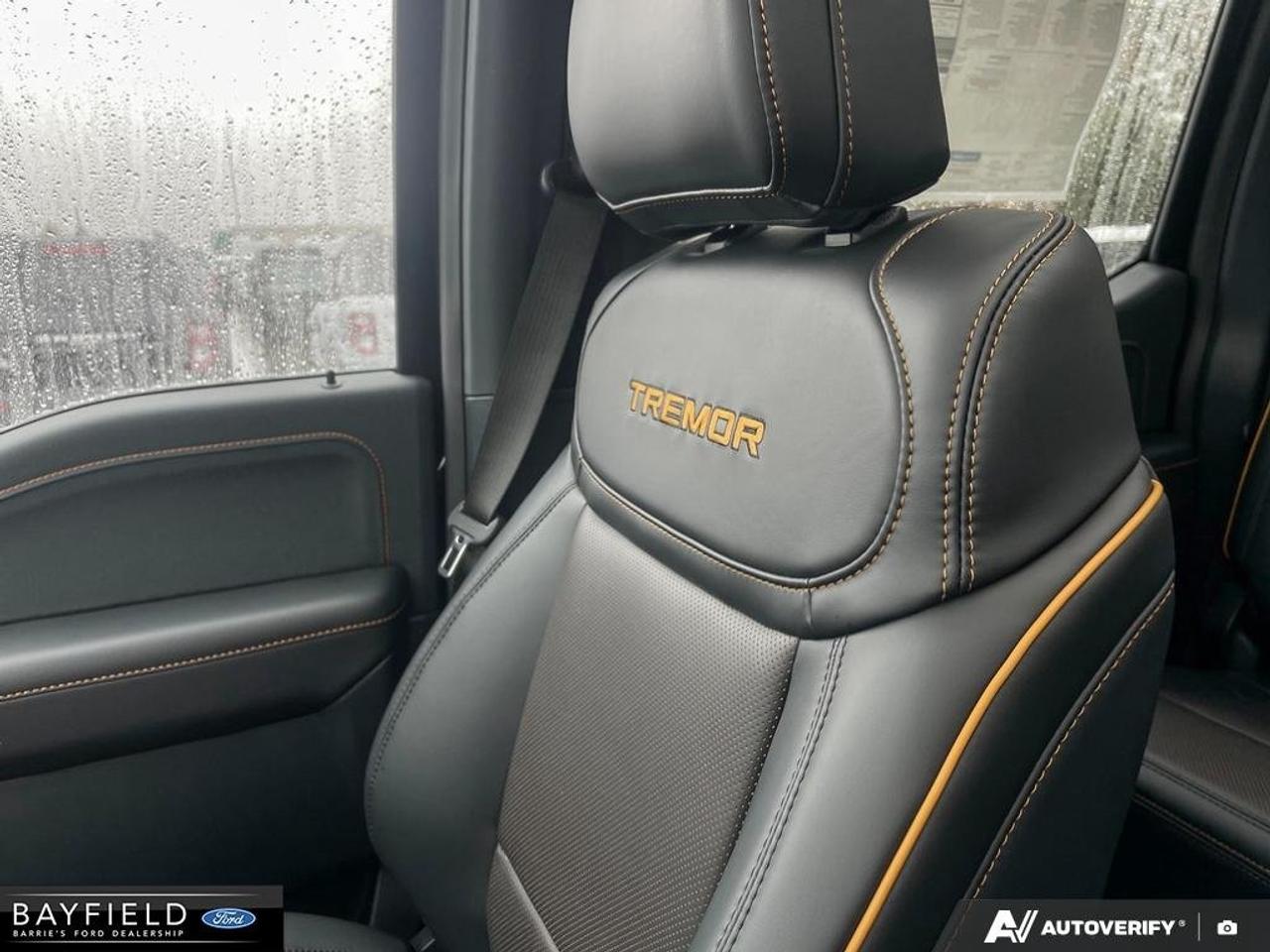 2026 Ford F-150 Tremor Photo