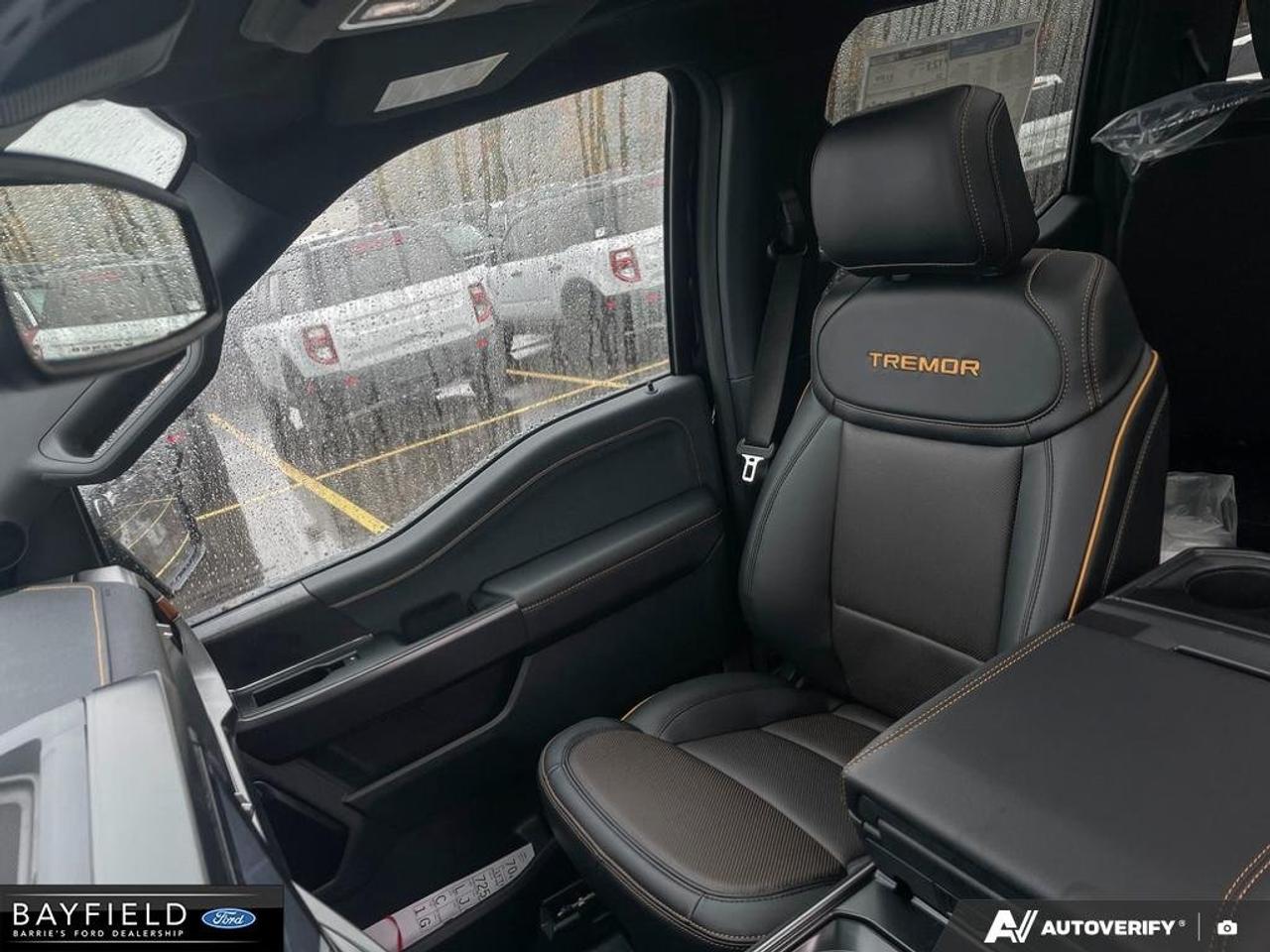 2026 Ford F-150 Tremor Photo
