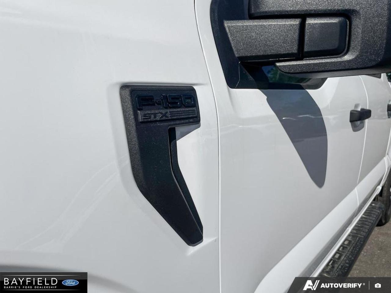2026 Ford F-150 STX Photo