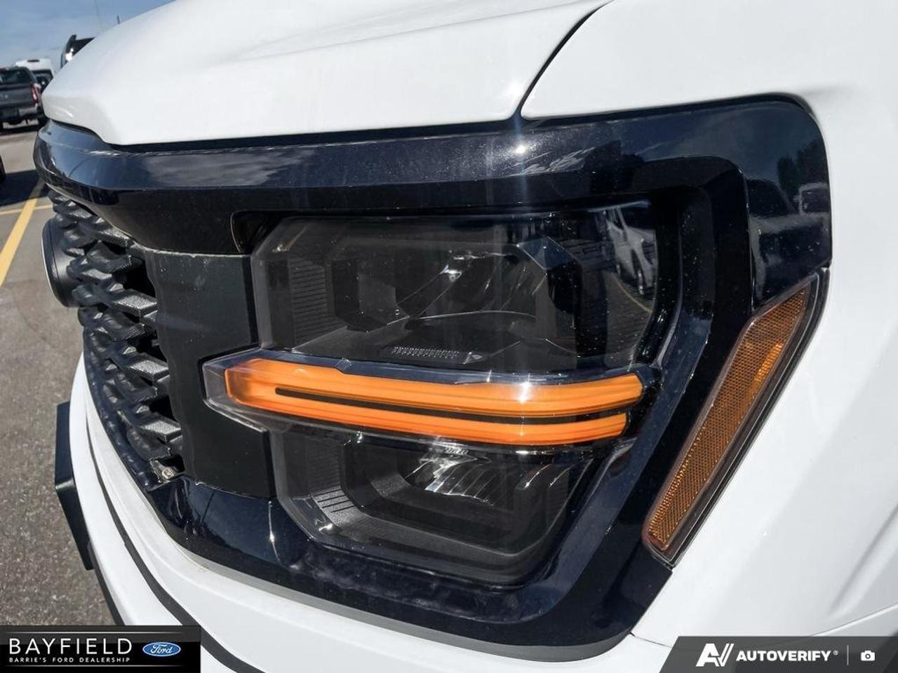 2026 Ford F-150 STX Photo