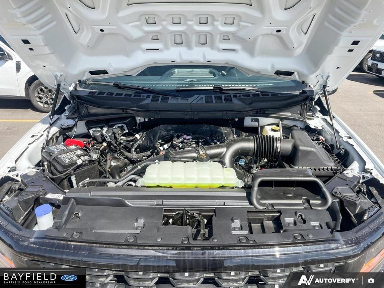 2026 Ford F-150 STX Photo