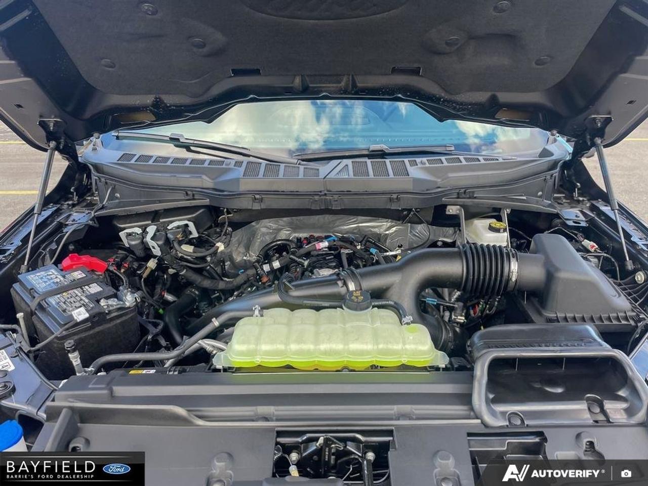 2026 Ford F-150 XLT Photo