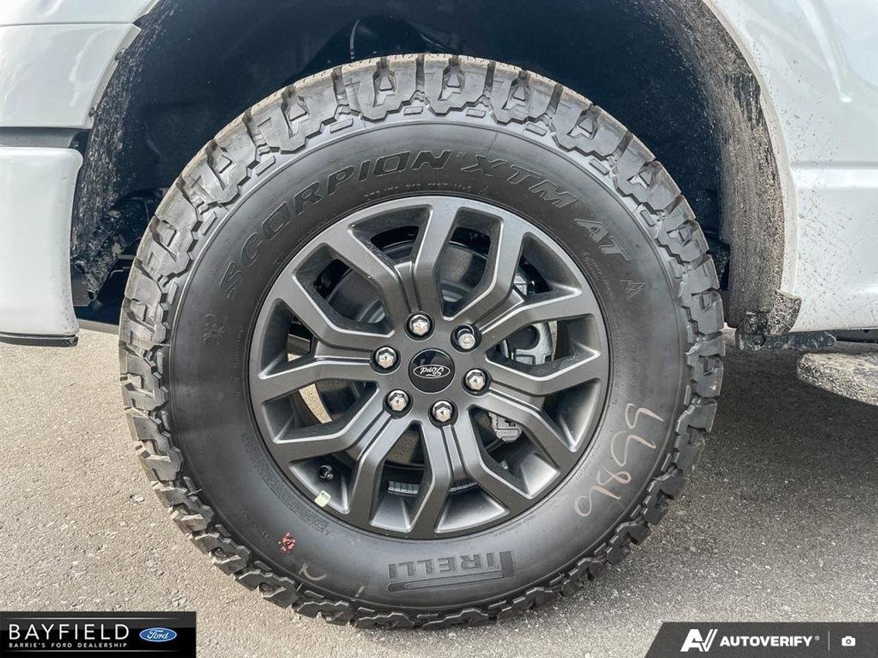 2026 Ford F-150 Tremor Photo