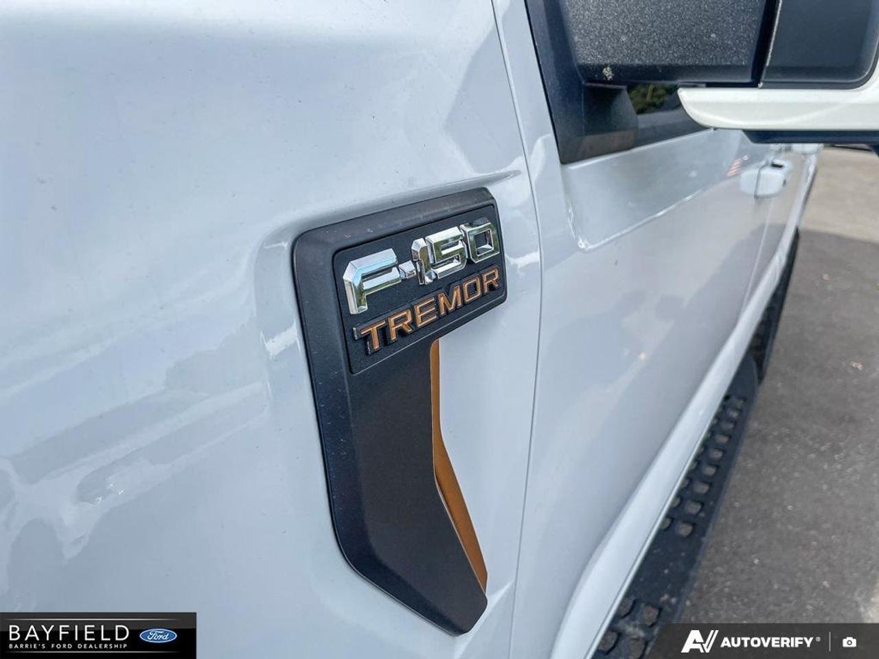 2026 Ford F-150 Tremor Photo