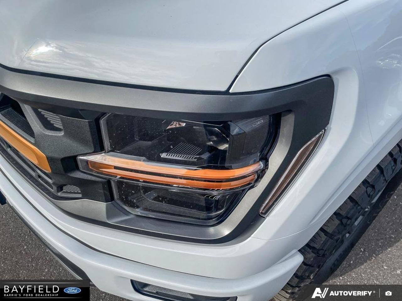 2026 Ford F-150 Tremor Photo