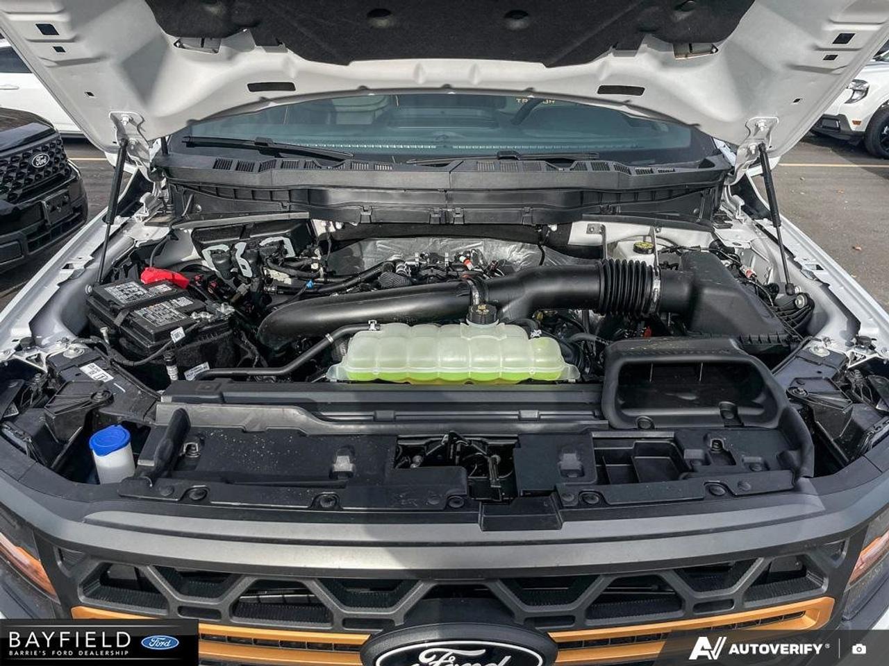 2026 Ford F-150 Tremor Photo