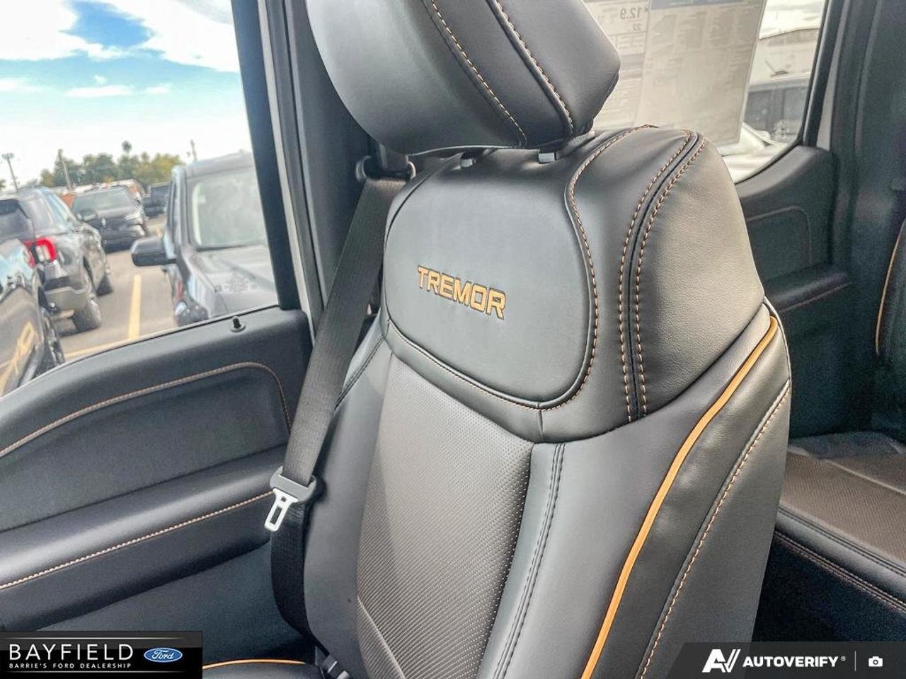 2026 Ford F-150 Tremor Photo