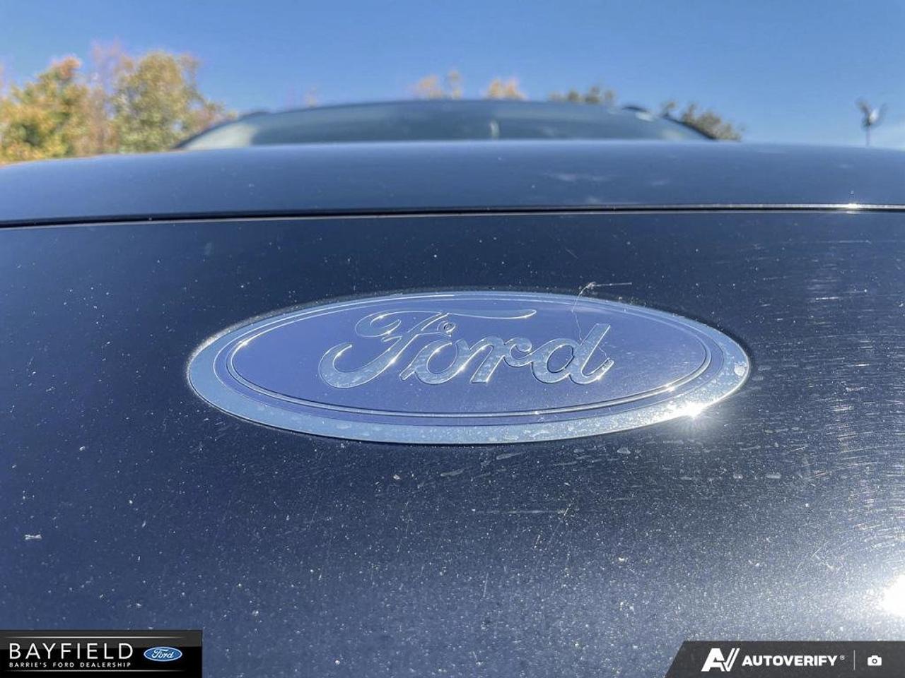 2021 Ford Escape Titanium Hybrid Photo