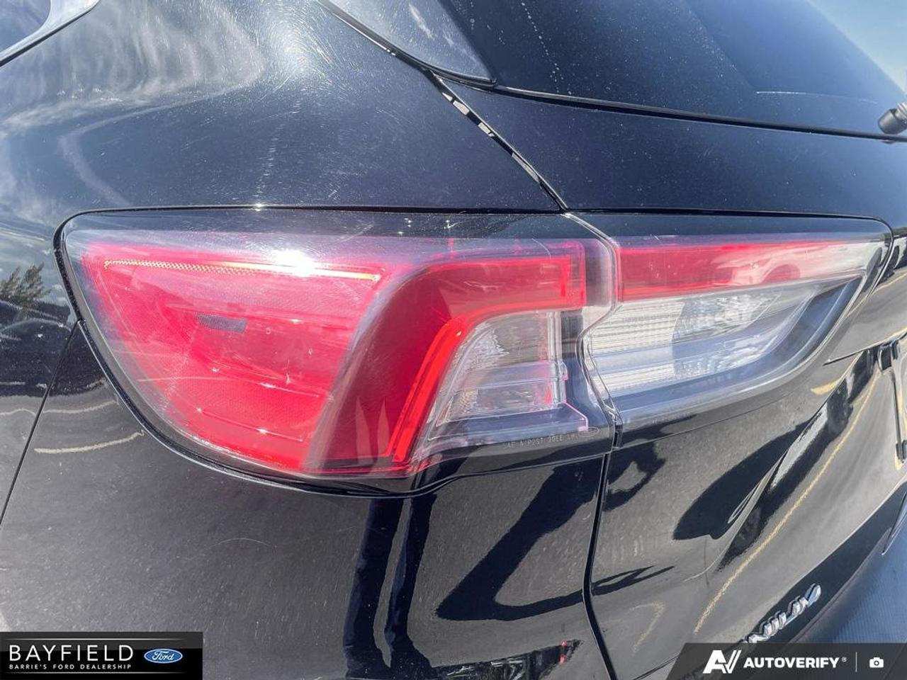 2021 Ford Escape Titanium Hybrid Photo