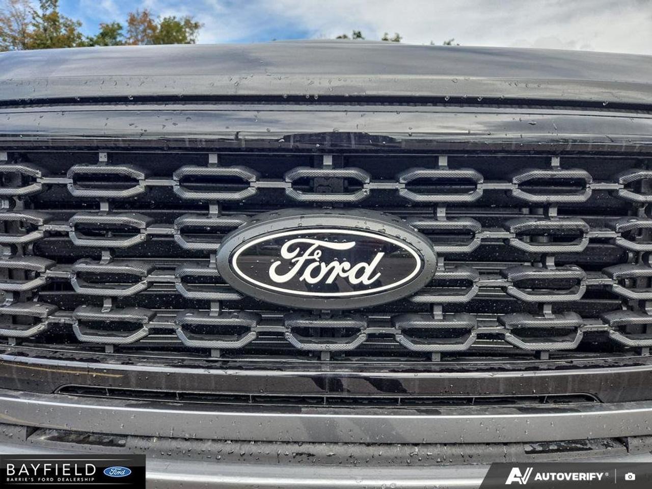 2026 Ford F-150 STX Photo