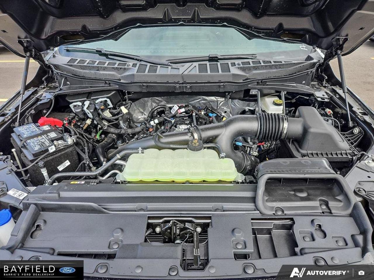 2026 Ford F-150 STX Photo